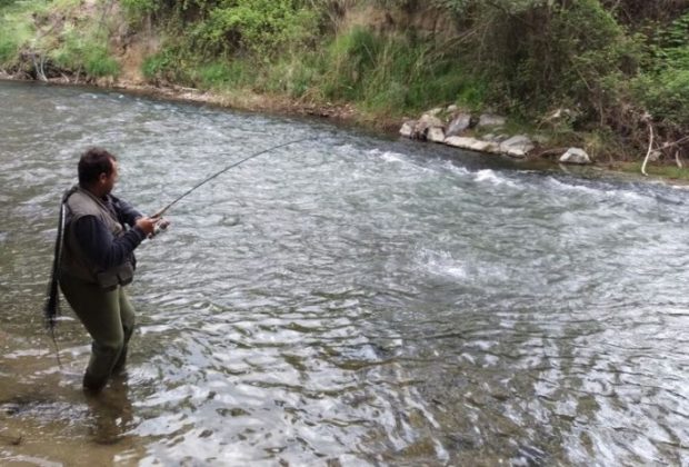 Pesca 50 Aniversario Sociedad Riojalteña