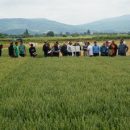 campo experimental cereales Tricio